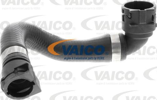 VAICO V20-3873 - Radiator şlanqı furqanavto.az