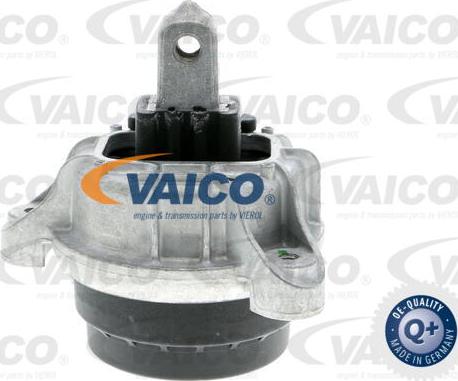 VAICO V20-3237 - Tutacaq, mühərrik montajı furqanavto.az