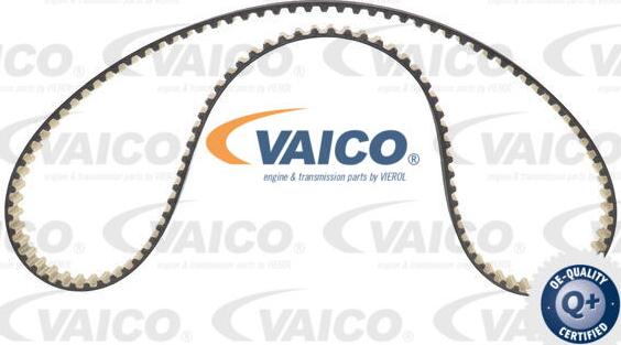 VAICO V22-0882 - Vaxt kəməri furqanavto.az