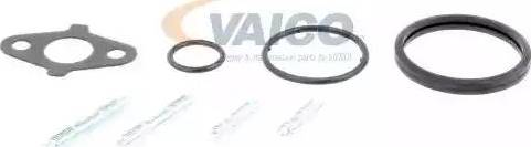 VAICO V70-50007 - Su nasosu furqanavto.az