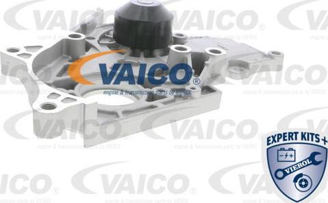 VAICO V70-50010 - Su nasosu furqanavto.az