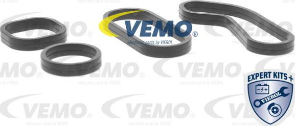 Vemo V42-60-0008 - Yağ soyuducu, mühərrik yağı furqanavto.az