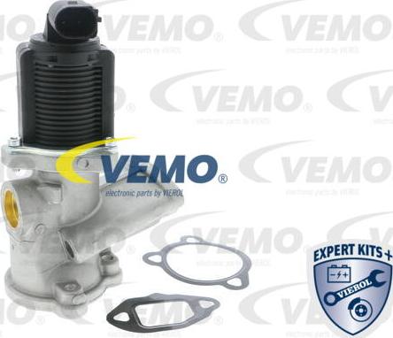 Vemo V24-63-0011 - EGR Valf furqanavto.az