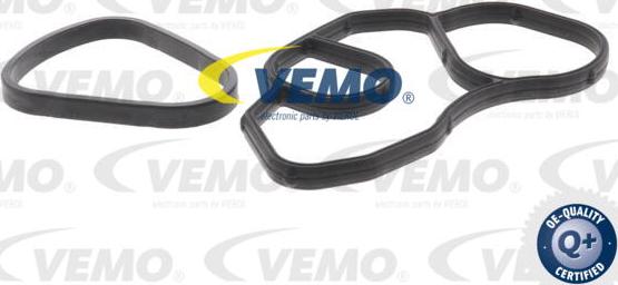 Vemo V20-60-0078 - Yağ soyuducu, mühərrik yağı furqanavto.az