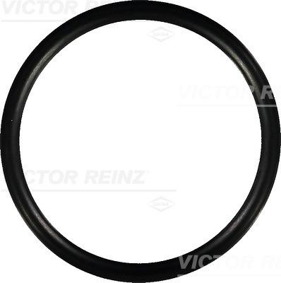 Victor Reinz 40-76752-00 - Conta, suqəbuledici manifold furqanavto.az