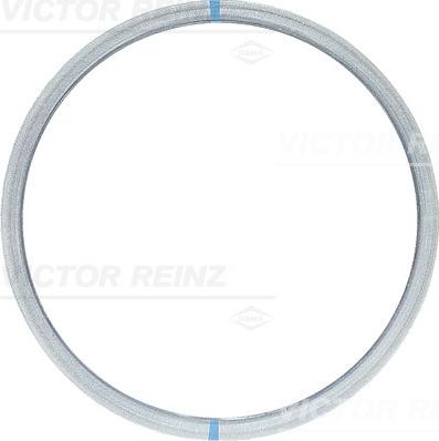 Victor Reinz 61-23410-00 - Conta, silindr başlığı furqanavto.az