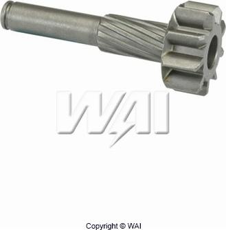 WAI 54-81206-ZEN - Pinion, başlanğıc furqanavto.az