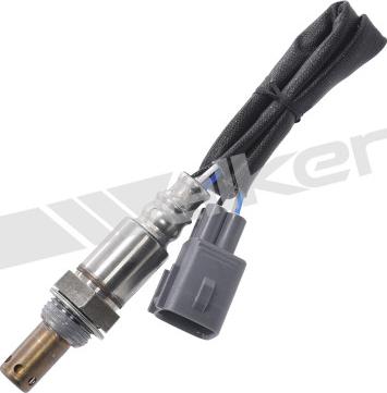 Walker Products 350-64017 - Lambda Sensoru furqanavto.az