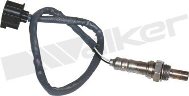 Walker Products 350-34592 - Lambda Sensoru furqanavto.az