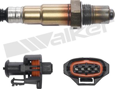 Walker Products 350-34649 - Lambda Sensoru furqanavto.az