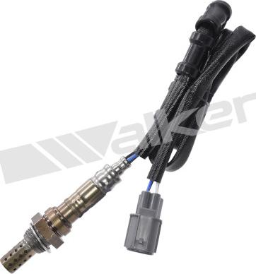 Walker Products 350-34605 - Lambda Sensoru furqanavto.az