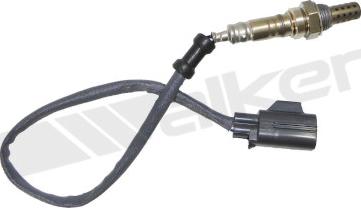 Walker Products 350-34041 - Lambda Sensoru furqanavto.az