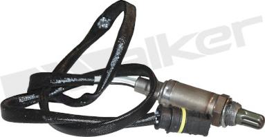 Walker Products 350-34013 - Lambda Sensoru furqanavto.az