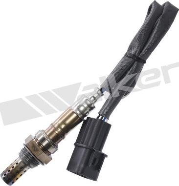 Walker Products 350-34173 - Lambda Sensoru furqanavto.az