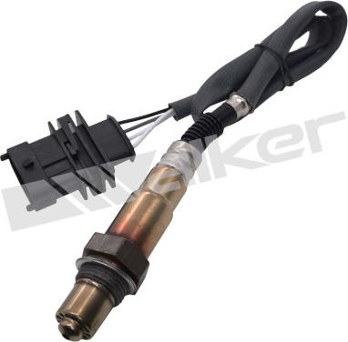 Walker Products 350-34803 - Lambda Sensoru furqanavto.az