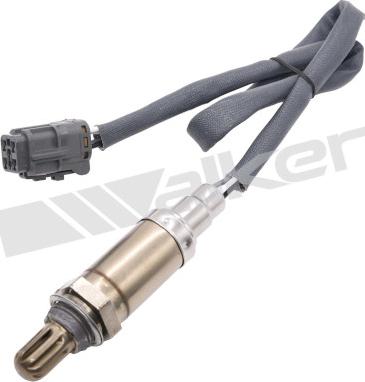 Walker Products 350-34880 - Lambda Sensoru furqanavto.az