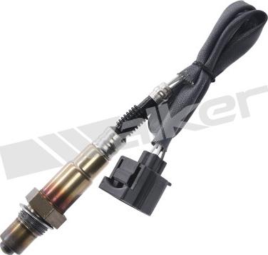 Walker Products 350-34360 - Lambda Sensoru furqanavto.az