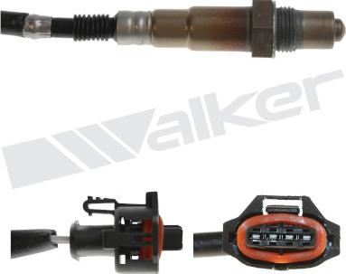 Walker Products 350-34307 - Lambda Sensoru furqanavto.az