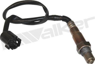 Walker Products 350-34383 - Lambda Sensoru furqanavto.az