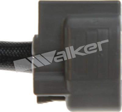 Walker Products 350-34299 - Lambda Sensoru furqanavto.az