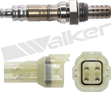 Walker Products 350-34243 - Lambda Sensoru furqanavto.az