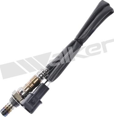 Walker Products 350-34237 - Lambda Sensoru furqanavto.az