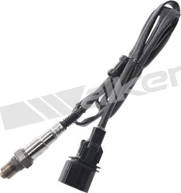 Walker Products 350-35080 - Lambda Sensoru furqanavto.az