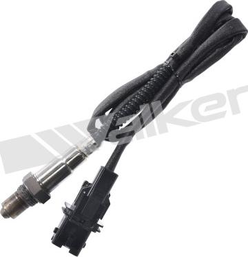 Walker Products 350-35039 - Lambda Sensoru furqanavto.az