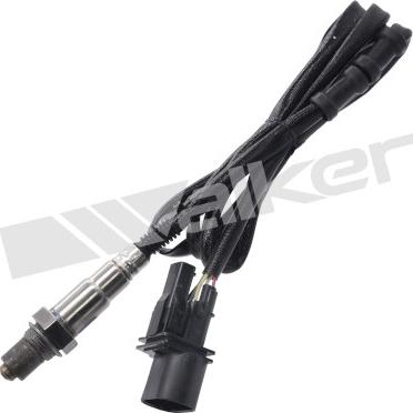 Walker Products 350-35035 - Lambda Sensoru furqanavto.az