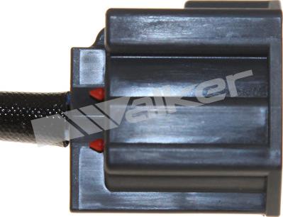 Walker Products 250-54093 - Lambda Sensoru furqanavto.az