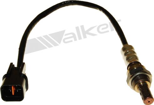 Walker Products 250-24909 - Lambda Sensoru furqanavto.az