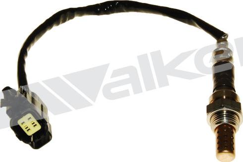 Walker Products 250-24905 - Lambda Sensoru furqanavto.az