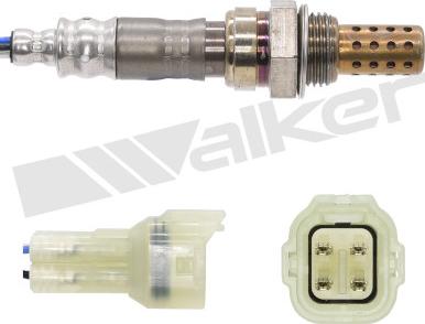 Walker Products 250-24907 - Lambda Sensoru furqanavto.az