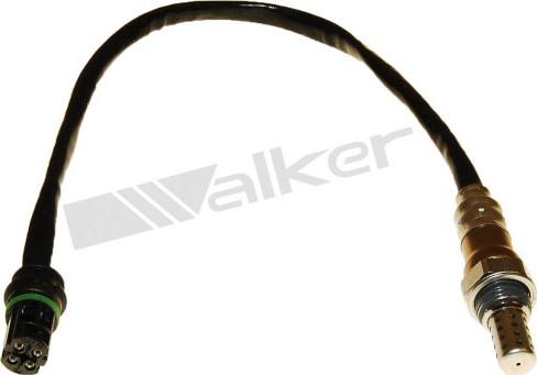 Walker Products 250-24464 - Lambda Sensoru furqanavto.az