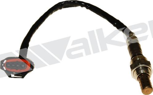 Walker Products 250-24592 - Lambda Sensoru furqanavto.az