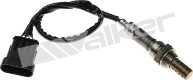 Walker Products 250-24553 - Lambda Sensoru furqanavto.az