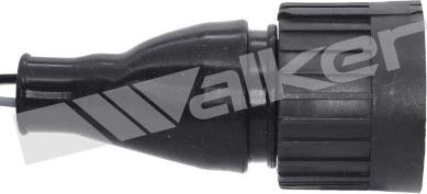 Walker Products 250-24035 - Lambda Sensoru furqanavto.az