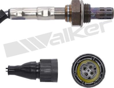 Walker Products 250-24035 - Lambda Sensoru furqanavto.az