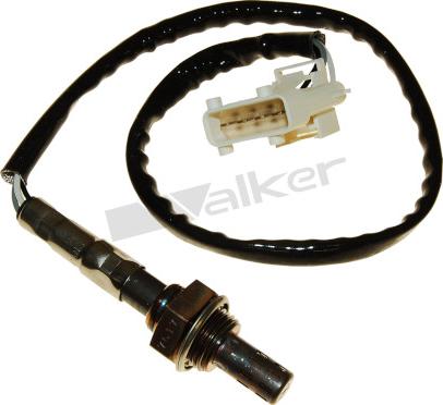 Walker Products 250-24109 - Lambda Sensoru furqanavto.az