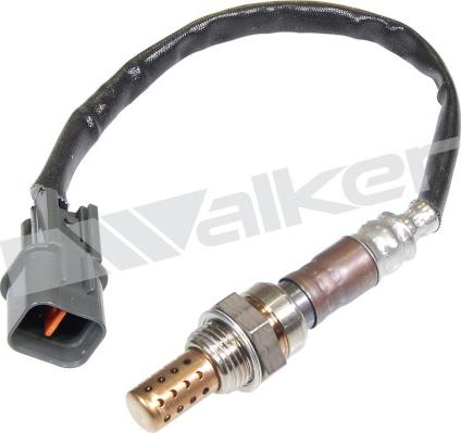 Walker Products 250-241043 - Lambda Sensoru furqanavto.az