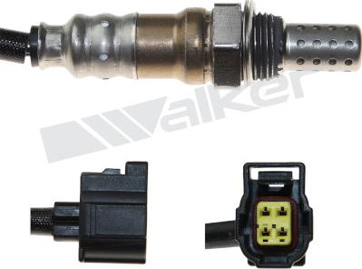 Walker Products 250-241050 - Lambda Sensoru furqanavto.az