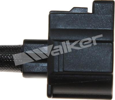 Walker Products 250-241050 - Lambda Sensoru furqanavto.az