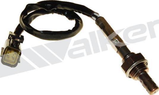 Walker Products 250-24805 - Lambda Sensoru furqanavto.az