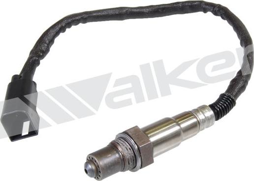 Walker Products 250-24283 - Lambda Sensoru furqanavto.az