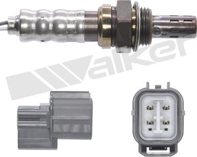 Walker Products 250-24784 - Lambda Sensoru furqanavto.az