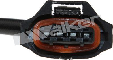 Walker Products 250-24731 - Lambda Sensoru furqanavto.az