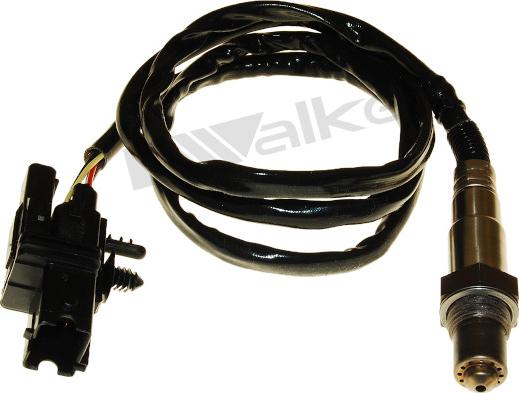 Walker Products 250-25006 - Lambda Sensoru furqanavto.az