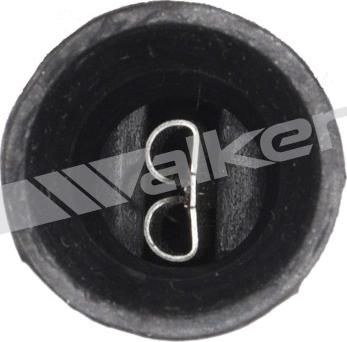 Walker Products 250-21013 - Lambda Sensoru furqanavto.az