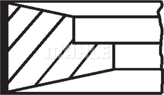 Wilmink Group WG1213201 - Piston halqası dəsti furqanavto.az