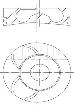 Wilmink Group WG1212674 - Piston furqanavto.az